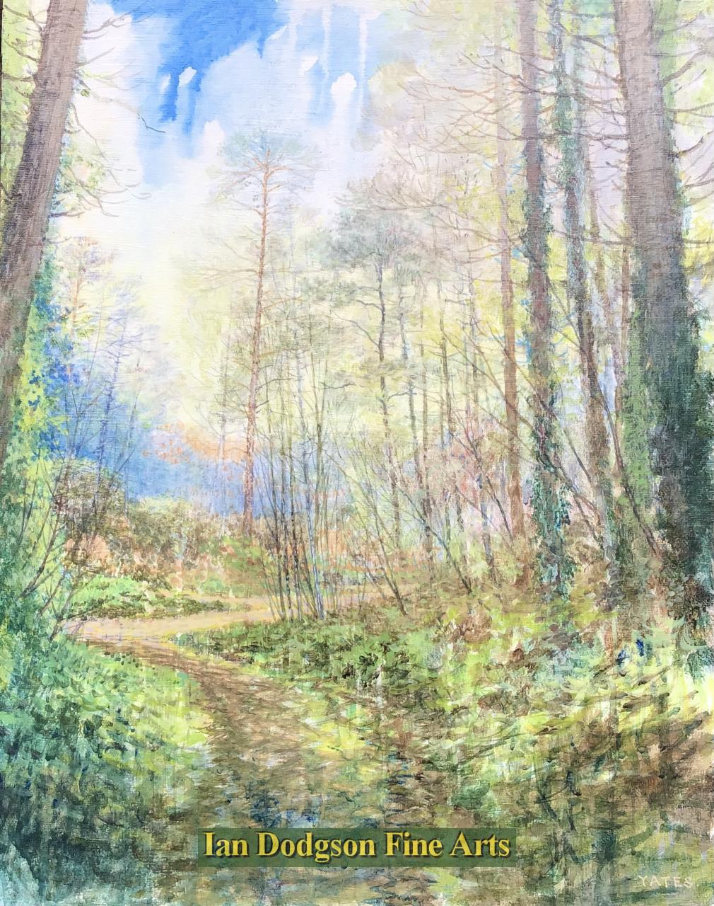 Jeremy Yates - Trees, Rainy Day Oil on canvas board (c2010)