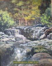 Trees Rocks River (Ogwen Bank) by Jeremy Yates