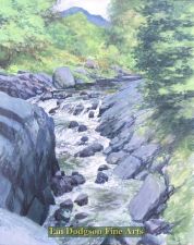 Rapids by Jeremy Yates